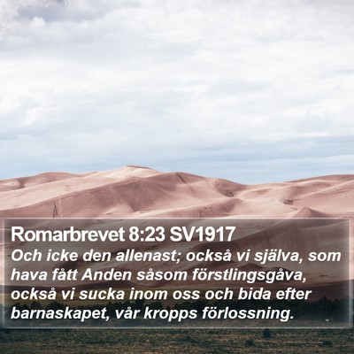 Romarbrevet 8:23 SV1917 Bible Verse Image