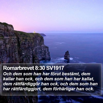 Romarbrevet 8:30 SV1917 Bible Verse Image