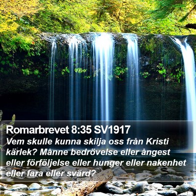 Romarbrevet 8:35 SV1917 Bible Verse Image