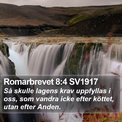 Romarbrevet 8:4 SV1917 Bible Verse Image