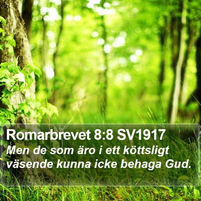 Romarbrevet 8:8 SV1917 Bible Verse Image