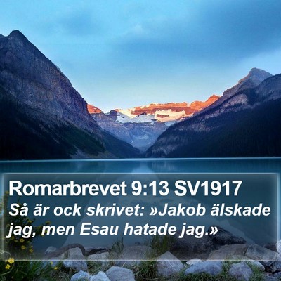 Romarbrevet 9:13 SV1917 Bible Verse Image