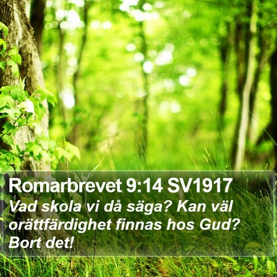 Romarbrevet 9:14 SV1917 Bible Verse Image