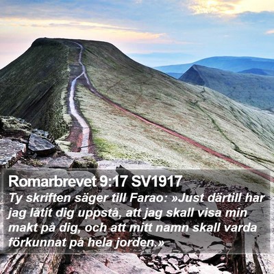 Romarbrevet 9:17 SV1917 Bible Verse Image