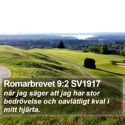 Romarbrevet 9:2 SV1917 Bible Verse Image