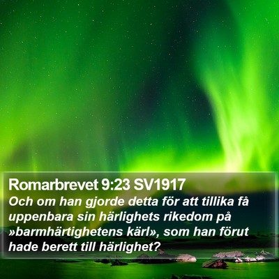 Romarbrevet 9:23 SV1917 Bible Verse Image