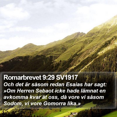 Romarbrevet 9:29 SV1917 Bible Verse Image