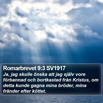 Romarbrevet 9:3 SV1917 Bible Verse Image