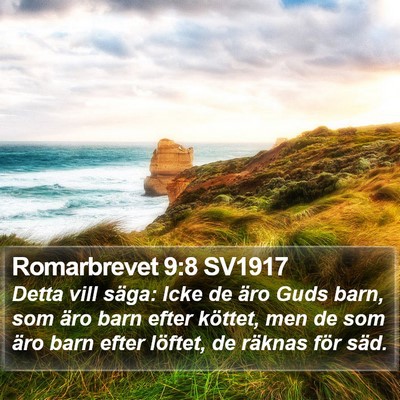 Romarbrevet 9:8 SV1917 Bible Verse Image