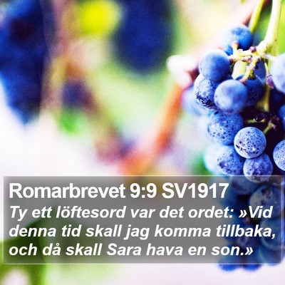 Romarbrevet 9:9 SV1917 Bible Verse Image