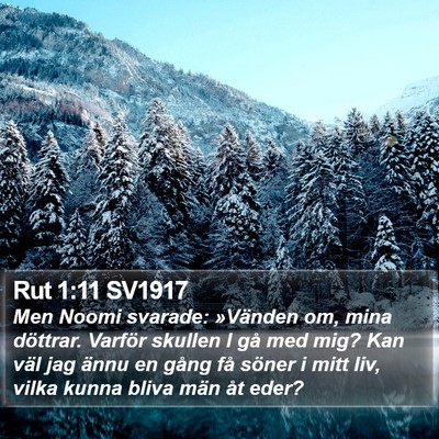 Rut 1:11 SV1917 Bible Verse Image