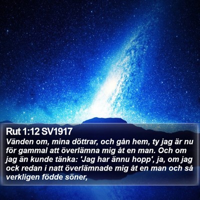 Rut 1:12 SV1917 Bible Verse Image