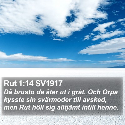 Rut 1:14 SV1917 Bible Verse Image