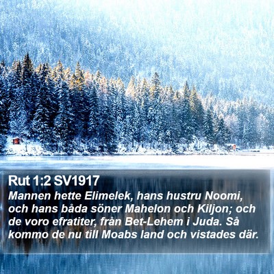 Rut 1:2 SV1917 Bible Verse Image
