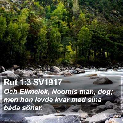 Rut 1:3 SV1917 Bible Verse Image