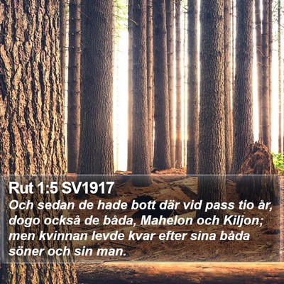 Rut 1:5 SV1917 Bible Verse Image