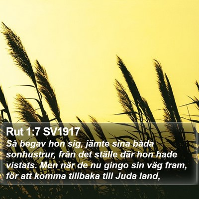 Rut 1:7 SV1917 Bible Verse Image