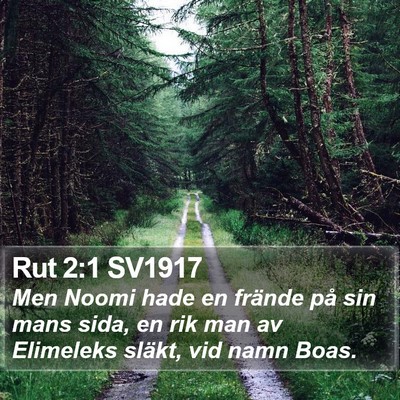 Rut 2:1 SV1917 Bible Verse Image
