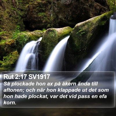 Rut 2:17 SV1917 Bible Verse Image