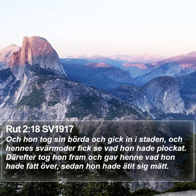 Rut 2:18 SV1917 Bible Verse Image