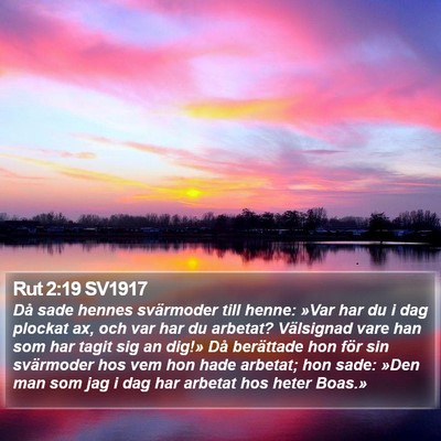 Rut 2:19 SV1917 Bible Verse Image