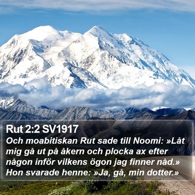 Rut 2:2 SV1917 Bible Verse Image