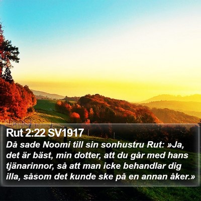 Rut 2:22 SV1917 Bible Verse Image