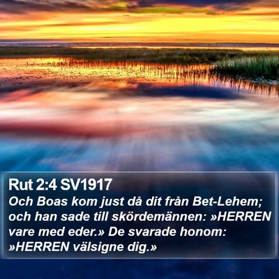 Rut 2:4 SV1917 Bible Verse Image
