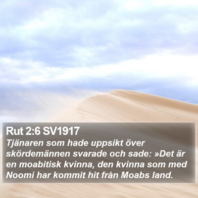 Rut 2:6 SV1917 Bible Verse Image