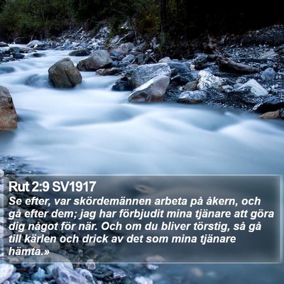Rut 2:9 SV1917 Bible Verse Image