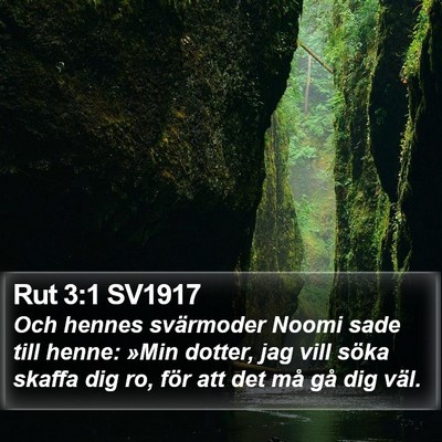 Rut 3:1 SV1917 Bible Verse Image