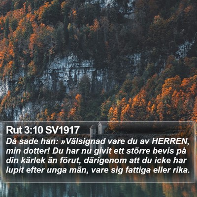 Rut 3:10 SV1917 Bible Verse Image