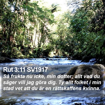 Rut 3:11 SV1917 Bible Verse Image