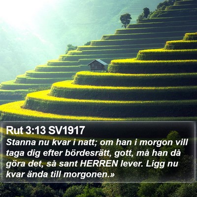Rut 3:13 SV1917 Bible Verse Image