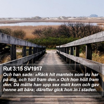 Rut 3:15 SV1917 Bible Verse Image