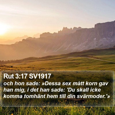 Rut 3:17 SV1917 Bible Verse Image