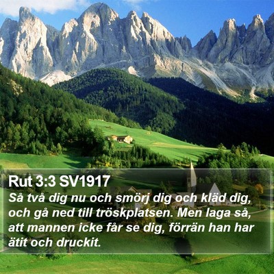 Rut 3:3 SV1917 Bible Verse Image