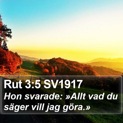 Rut 3:5 SV1917 Bible Verse Image