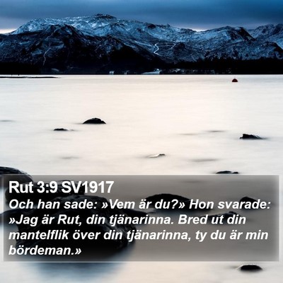 Rut 3:9 SV1917 Bible Verse Image