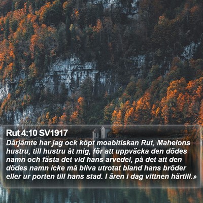 Rut 4:10 SV1917 Bible Verse Image
