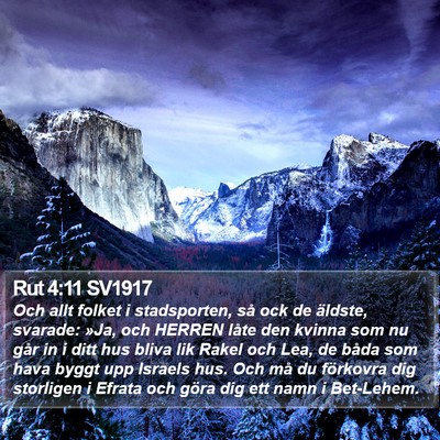 Rut 4:11 SV1917 Bible Verse Image