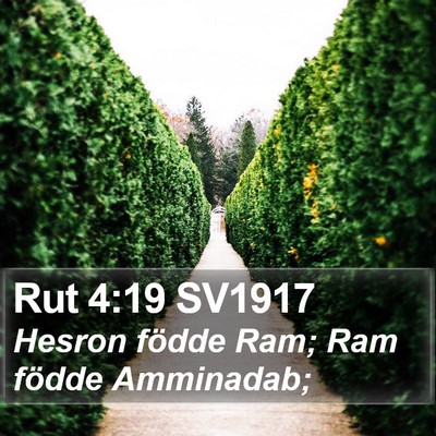 Rut 4:19 SV1917 Bible Verse Image