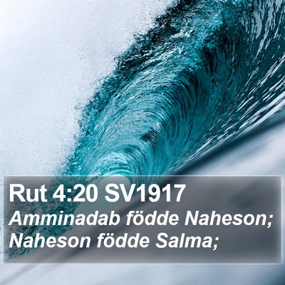 Rut 4:20 SV1917 Bible Verse Image