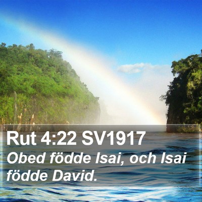 Rut 4:22 SV1917 Bible Verse Image