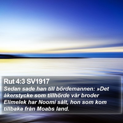 Rut 4:3 SV1917 Bible Verse Image