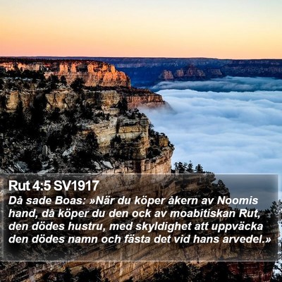 Rut 4:5 SV1917 Bible Verse Image
