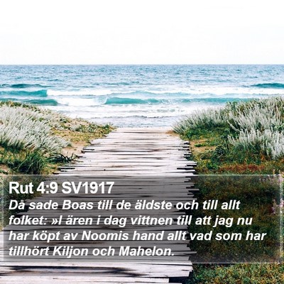 Rut 4:9 SV1917 Bible Verse Image