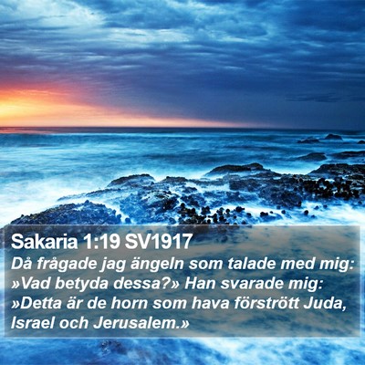 Sakaria 1:19 SV1917 Bible Verse Image