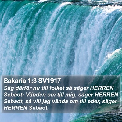 Sakaria 1:3 SV1917 Bible Verse Image