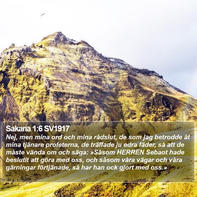 Sakaria 1:6 SV1917 Bible Verse Image